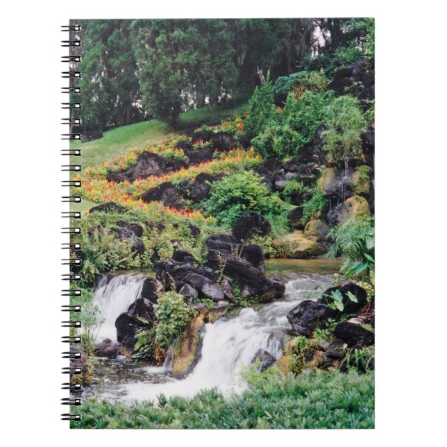 Carnet Eau de guérison (Devant)