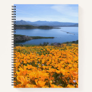 Carnet Eau Lac California Avec Des Pépites D'Or