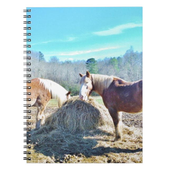 Carnet Ébauche secourue Chevaux mangeant foin (Devant)