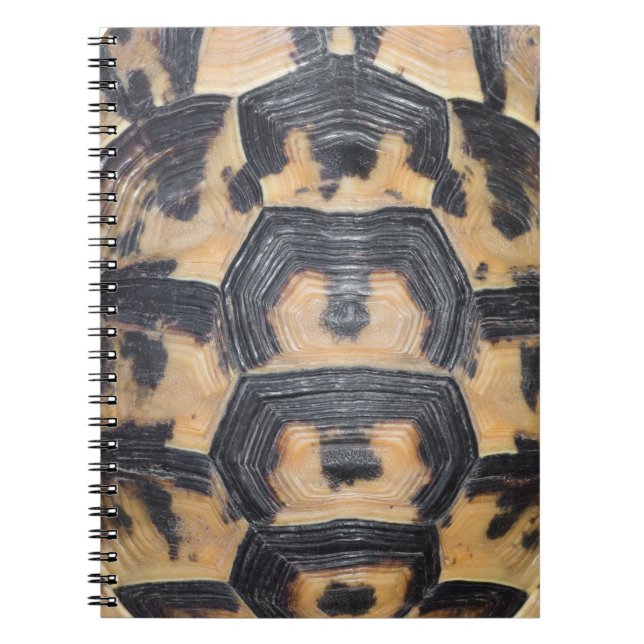 Carnet Écaille de tortue (Devant)