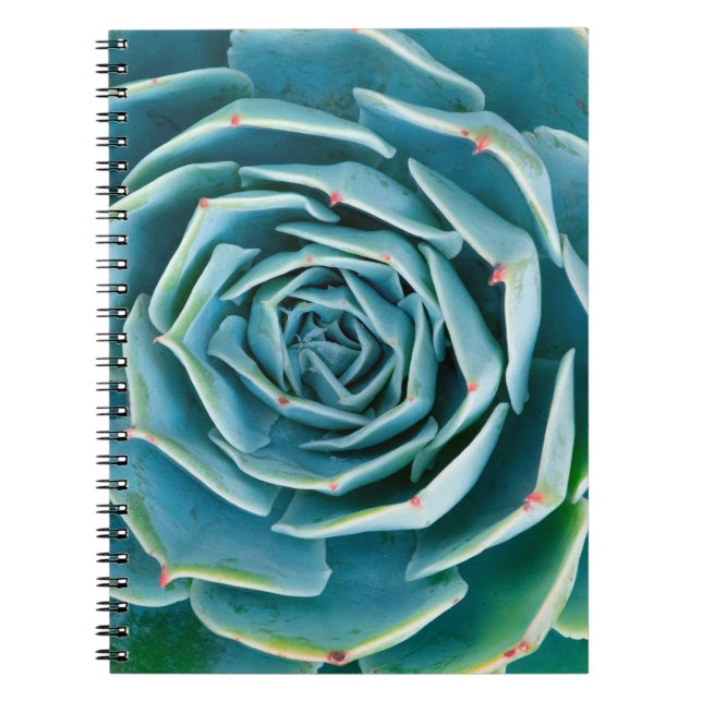 Carnet Echeveria Rosette, Secret Garden of Marrakech (Devant)
