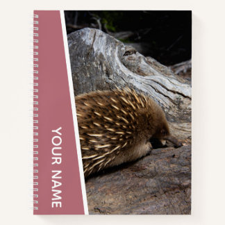 Carnet Echidna Australie mignon animal Spiky, or Rose