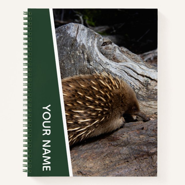 Carnet Echidna Australie mignon animal, vert (Devant)