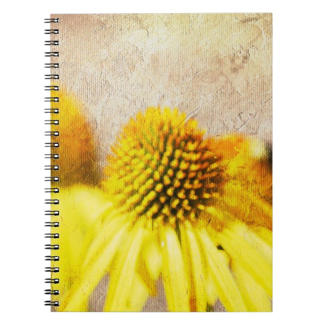 Carnet Echinacea Fleurs été (Devant)