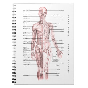 Carnet École personnalisée par diagramme Médicale huma