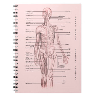 Carnet École personnalisée par diagramme Médicale humain