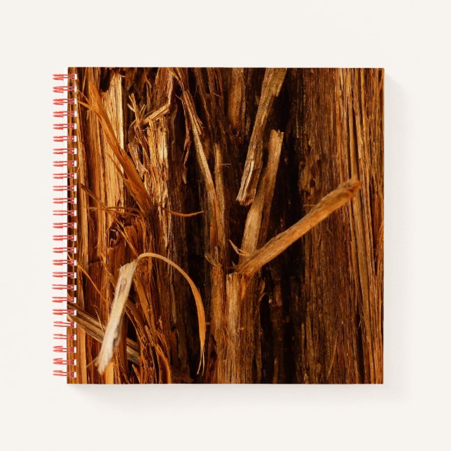 Carnet Écorce de bois texturée de cèdre (Devant)