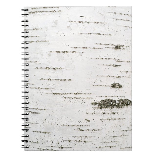 Carnet Écorce de bouleau (Devant)