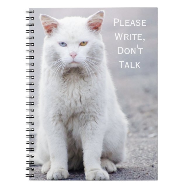 Carnet "Écrivez, ne parlez pas" Crabby Cats (Devant)