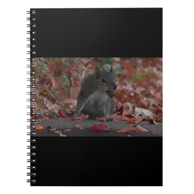 Carnet Écureuil (Devant)