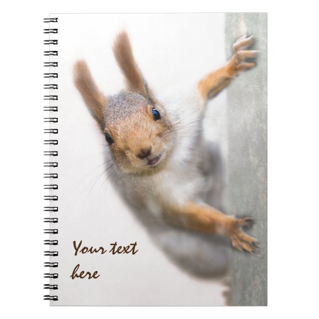 Carnet Écureuil curieux (Devant)