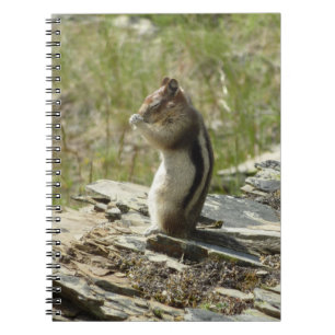 Carnet Écureuil de fond à manteau doré au glacier I