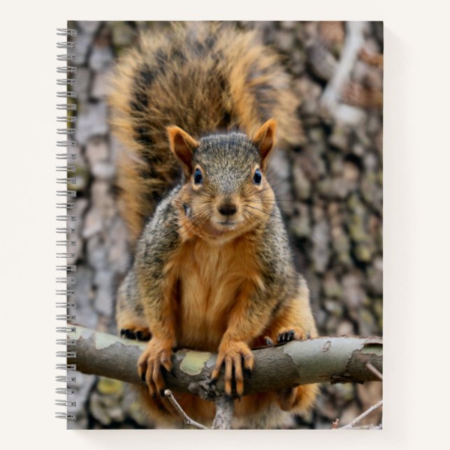 Carnet Écureuil de renard (Devant)