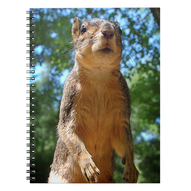 Carnet Écureuil droit (Devant)