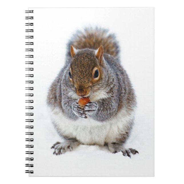 Carnet Écureuil mangeant une noix dans la neige d'hiver (Devant)
