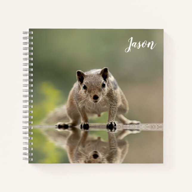 Carnet Écureuil mignon animal (Devant)