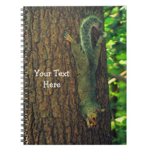 Carnet Écureuil mignon sur un animal d'arbre