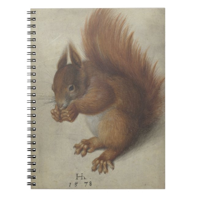 Carnet Écureuil roux (par Hans Hoffmann) (Devant)