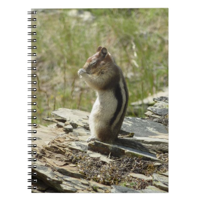 Carnet Écureuil terrestre à manteau doré à Glacier I (Devant)