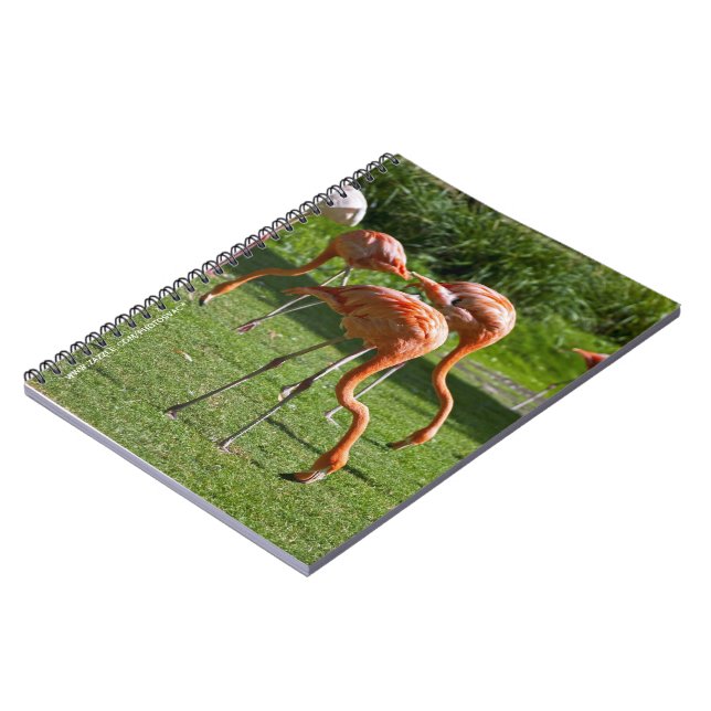 Carnet Effet de dessin de portrait de flamant rose Art (Côté gauche)