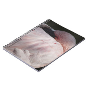 Carnet Effet de dessin de portrait de flamant rose Art