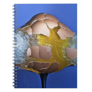 Carnet Eggceptional