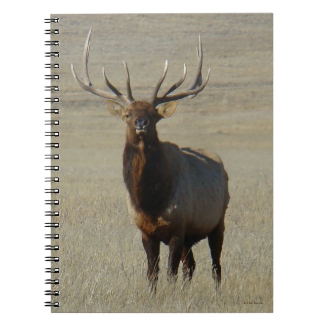 Carnet Élan mâle E59 (Devant)