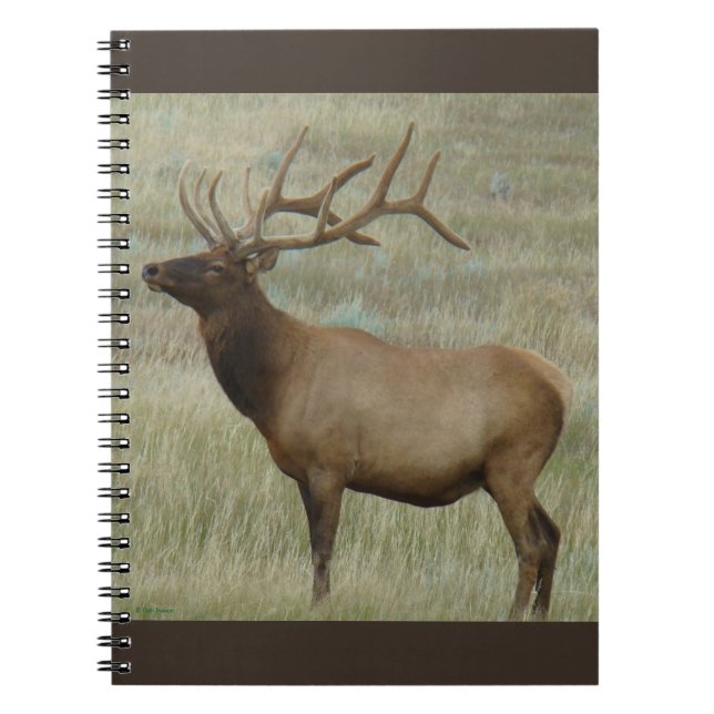 Carnet Élan mâle E8 en velours (Devant)