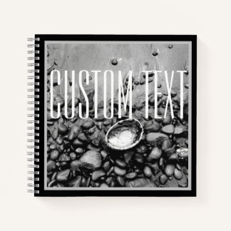 CARNET ELÉGANT BLACK WHTE STONE SHELING BEACH NATURE PHOT