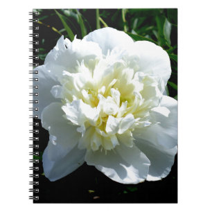 Carnet Elégant blanc peony floral blanc photo