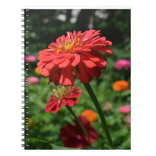 Carnet Elégant jardin fleuri rouge orangé (Devant)