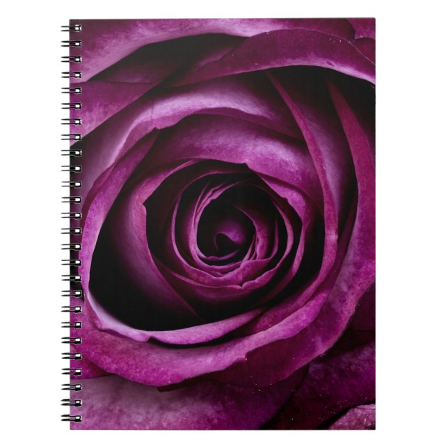 Carnet Elegant Purple Rose Close Up (Devant)