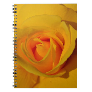 Carnet Élégante fleur florale Rose jaune