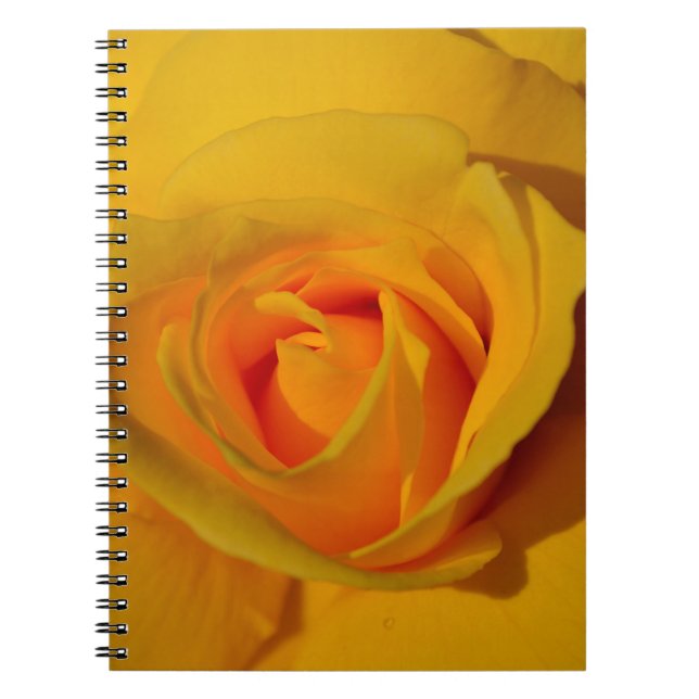Carnet Élégante fleur florale Rose jaune (Devant)