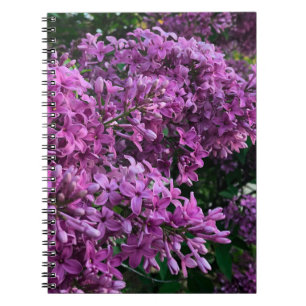 Carnet Élégante floraison de magenta violet profond fleur