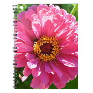 Carnet Elégante marguerite rose rose rétro