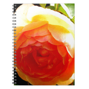 Carnet Elégante pêche jaune rose floral d'abricot rouge