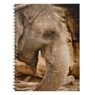 CARNET ÉLÉPHANT