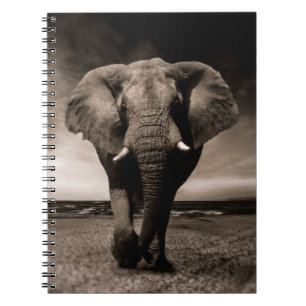 Carnet Éléphant