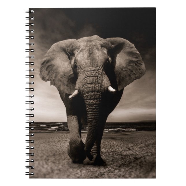 Carnet Eléphant (Devant)