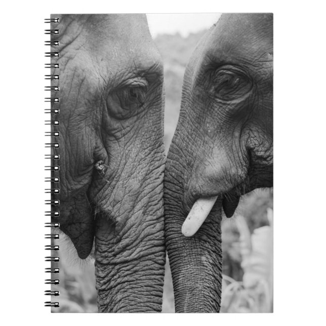 CARNET ELEPHANT COUPLE (Devant)