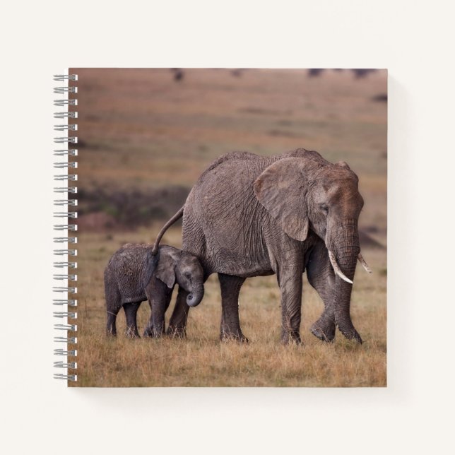 Carnet Éléphant d'Afrique avec bébé (Devant)