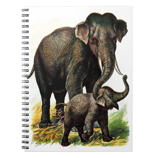 Carnet Éléphant de mère avec le veau (Devant)