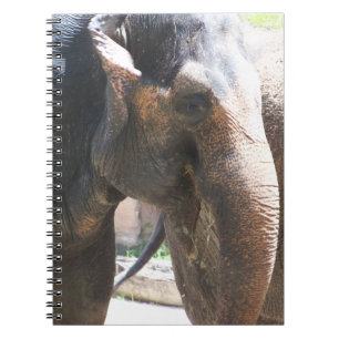 Carnet Elephant face