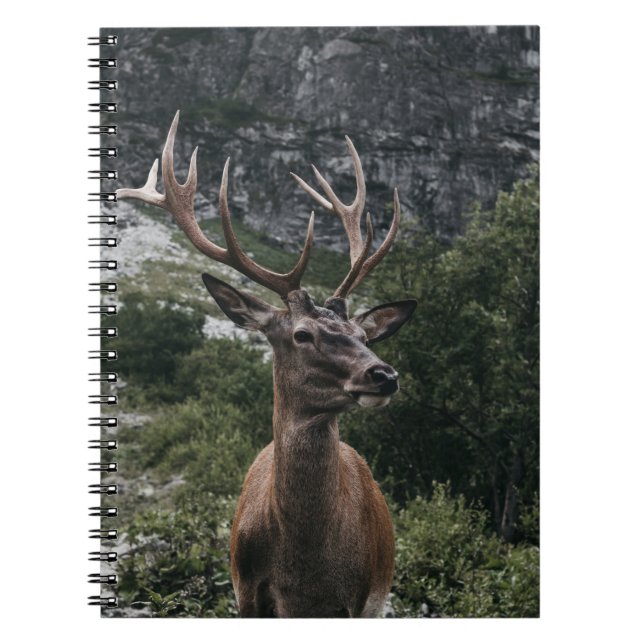 CARNET ELK STACK DEER (Devant)