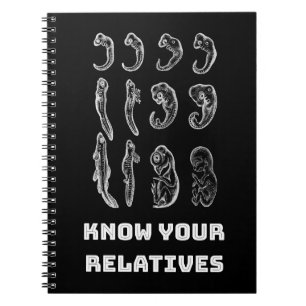 Carnet Embryogenèse de l'évolution