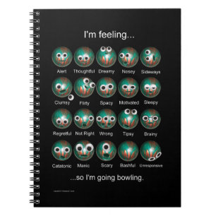 Carnet émotions Bowling