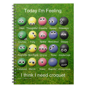 Carnet Émotions du Croquet