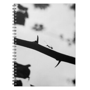 Carnet Emplacement