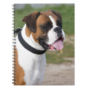 Carnet Emplacement de la boîte